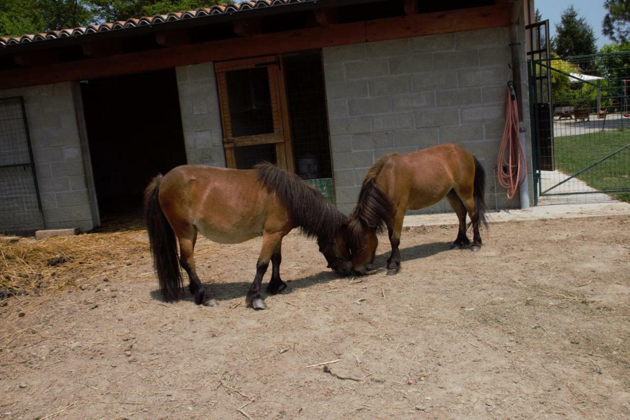 Vila Casa Dei Ciliegi CastellʼAlfero Exteriér fotografie